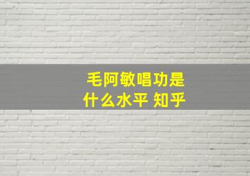 毛阿敏唱功是什么水平 知乎